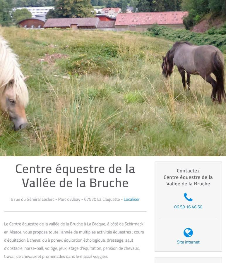 Le Gite Du Chateau Dans Le Centre De Schirmeck Exterior foto